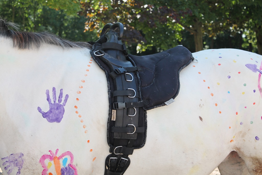 Sitz für Longiergurt