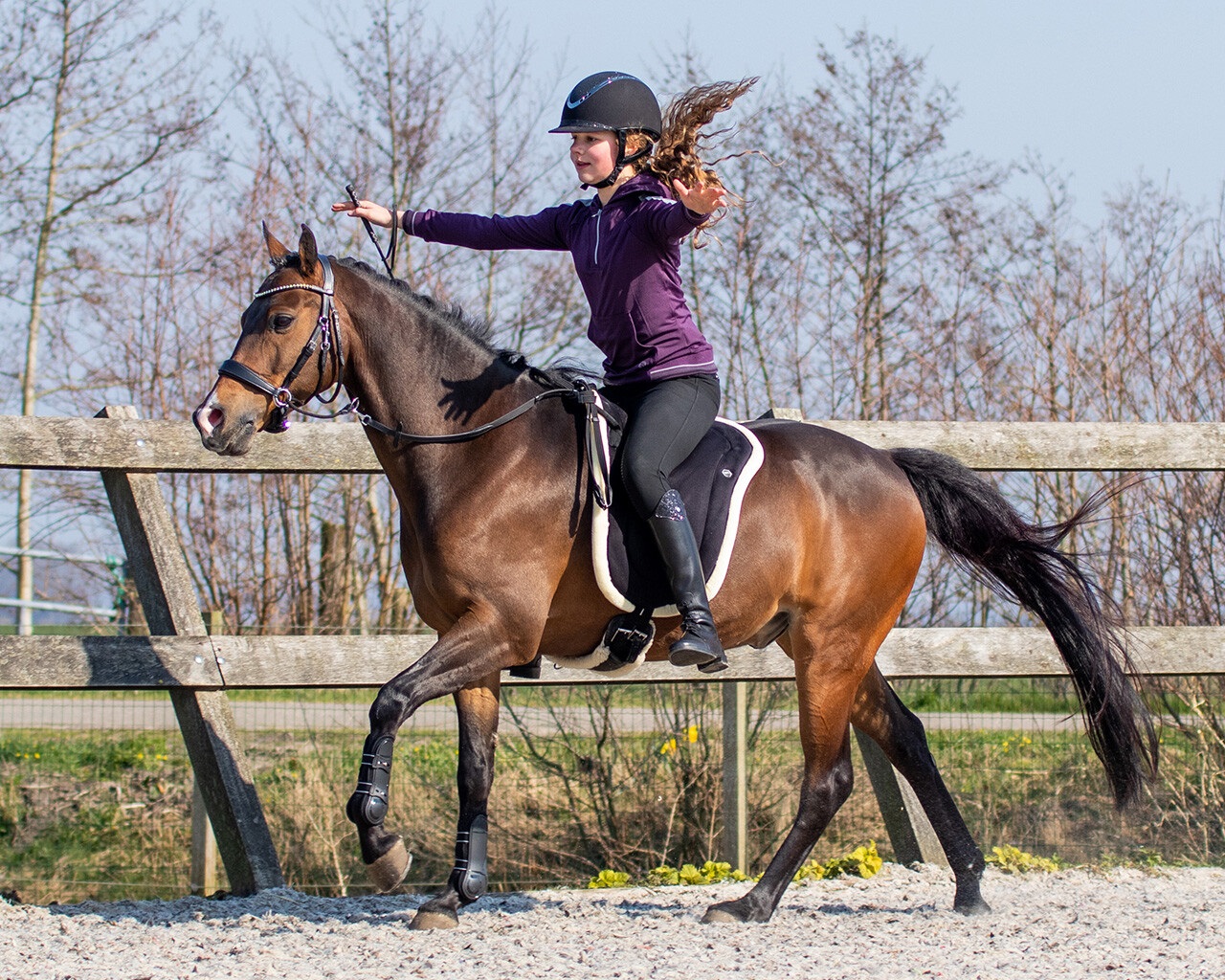 Bareback Pad