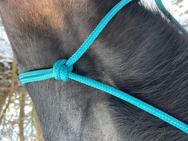 Knotenhalfter ( Horse-Man-Halfter von Seilerei Brockamp )